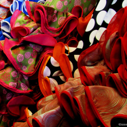 Flamenco圖片照片_Flamenco