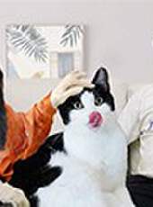 花花與三貓CatLive 2019最新一期線上看_全集完整版高清線上看_好看的綜藝