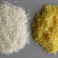 Rice圖片照片_Rice
