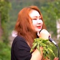 遇見詩歌曲歌詞大全_遇見詩最新歌曲歌詞