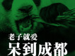 老子就愛呆到成都