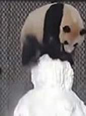 視點鋒匯最新一期線上看_全集完整版高清線上看_好看的綜藝