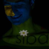 Siba​.Pro圖片照片_Siba​.Pro
