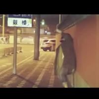 MC.di FT MC和尚圖片照片_MC.di FT MC和尚