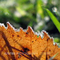 Rimfrost圖片照片_Rimfrost