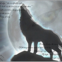 Wolf&nbsp;Parade圖片照片_Wolf Parade
