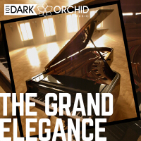 101 Dark Orchid Music圖片照片_照片寫真