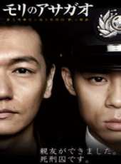香椎由宇最新電視劇_香椎由宇電視劇作品全集線上看_好看的電視劇
