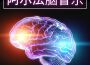 阿爾法腦音樂: 深度催眠曲, 腦波睡眠音樂, 神奇的阿爾法腦波音樂專輯_靈氣和元氣阿爾法腦音樂: 深度催眠曲, 腦波睡眠音樂, 神奇的阿爾法腦波音樂最新專輯