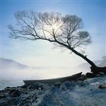 Snow in China[中國雪]個人資料介紹_個人檔案(生日/星座/歌曲/專輯/MV作品)