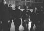 The Sea of Tragic Beasts專輯_Fit for an AutopsyThe Sea of Tragic Beasts最新專輯