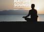 Yoga Nature Sounds歌曲歌詞大全_Yoga Nature Sounds最新歌曲歌詞