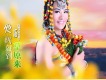 莫負月光歌詞_紅陌莫負月光歌詞