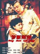 何晴演過的電影電視劇線上看_影視作品大全_好看的明星