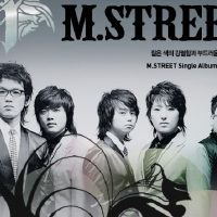 M.Street圖片照片_M.Street