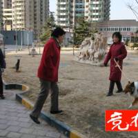 楊桂銘圖片照片_楊桂銘