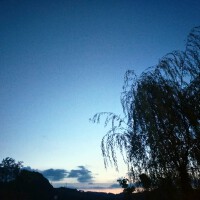 岑宇個人資料介紹_個人檔案(生日/星座/歌曲/專輯/MV作品)