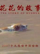 最新2017其它電視劇_好看的2017其它電視劇大全/排行榜 - 蟲蟲電視劇