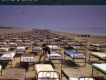 A Momentary Lapse Of