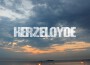 Herzeloyde最新歌曲_最熱專輯MV_圖片照片