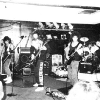 Nocturnus圖片照片_Nocturnus