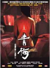 楊婷婷演過的電影電視劇線上看_影視作品大全_好看的明星