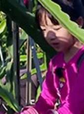 萌次元最新一期線上看_全集完整版高清線上看_好看的綜藝