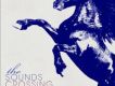 The Sounds歌曲歌詞大全_The Sounds最新歌曲歌詞