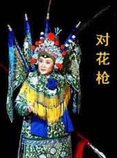 袁慧琴演過的電影電視劇線上看_影視作品大全_好看的明星
