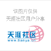 崔成成圖片照片_崔成成