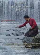 賭神爭霸線上看_高清完整版線上看 - 蟲蟲電影