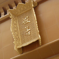 DG Devil圖片照片_DG Devil