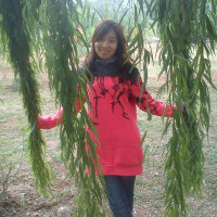 王紅梅圖片照片_王紅梅