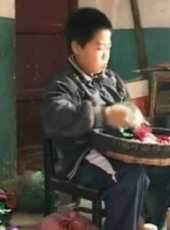 最新更早其它電影_更早其它電影大全/排行榜_好看的電影