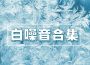白噪音合集：大自然所有的白噪音，新世紀音樂，催眠效果的歌曲，環境自然聲音專輯_輕音樂電台白噪音合集：大自然所有的白噪音，新世紀音樂，催眠效果的歌曲，環境自然聲音最新專輯