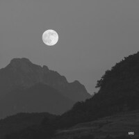 Wildfire Eyes專輯_ArroWildfire Eyes最新專輯