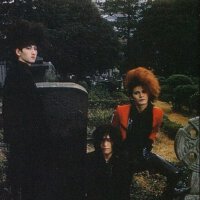 Zi÷Kill圖片照片_Zi÷Kill