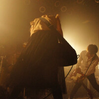 Lemon's Chair圖片照片_Lemon's Chair