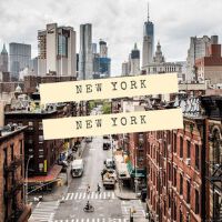 New York, New York (20 love songs)專輯_Chic OrchestraNew York, New York (20 love songs)最新專輯