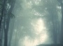 Silencyde最新歌曲_最熱專輯MV_圖片照片