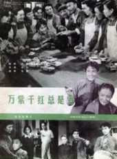 沙莉演過的電影電視劇線上看_影視作品大全_好看的明星
