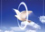 Longing To Belong - Guru Dass專輯_Gurudass KaurLonging To Belong - Guru Dass最新專輯