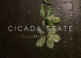 Cicada State歌曲歌詞大全_Cicada State最新歌曲歌詞