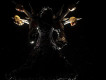 Warlock圖片照片_Warlock
