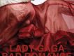 Bad Romance(Promo CD專輯_Lady GaGaBad Romance(Promo CD最新專輯