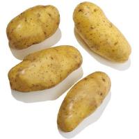Potito圖片照片_Potito