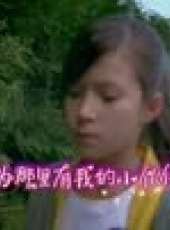 少林英雄最新一期線上看_全集完整版高清線上看_好看的綜藝
