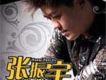 張振宇歌曲歌詞大全_張振宇最新歌曲歌詞