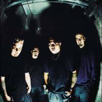 Spineshank圖片照片_Spineshank