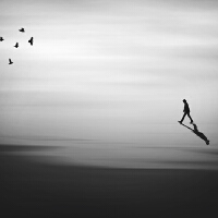 Solitude圖片照片_Solitude